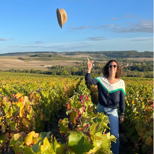 Sancerre: Wine Tastings + Lunch from Paris