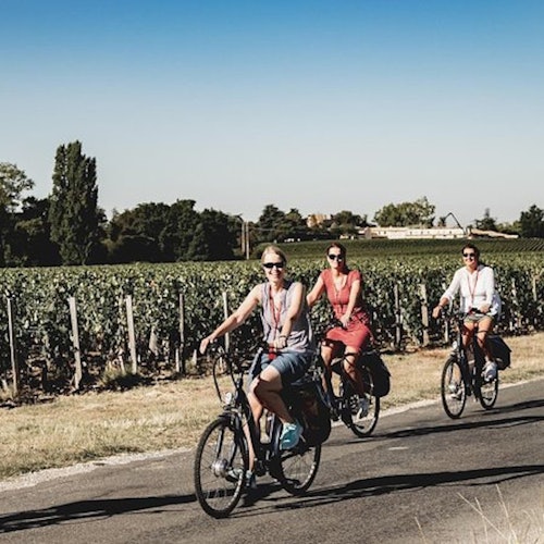 Saint-Emilion: Guided E-bike Tour + Wine Tasting