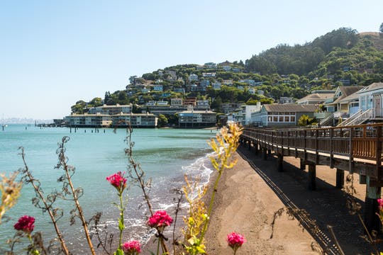 Tour de medio día por Muir Woods y Sausalito