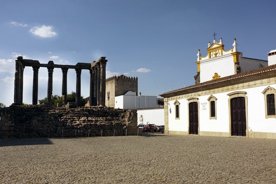 Évora full day tour with olive oil tasting