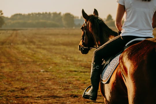 Horse riding private tour in Comporta natural reserve