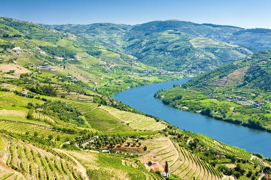 Private Douro Valley 4x4 full-day tour with wine tasting