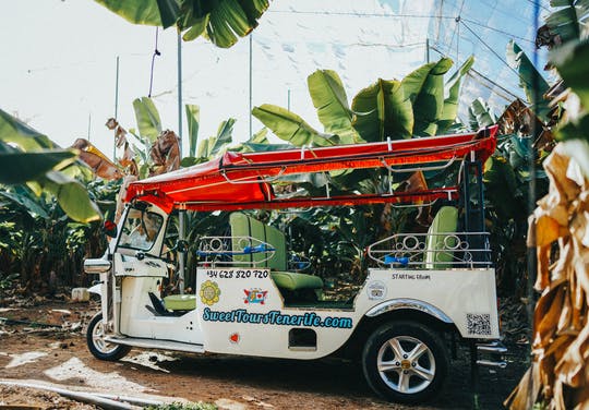 Excursión al Volcán Secreto