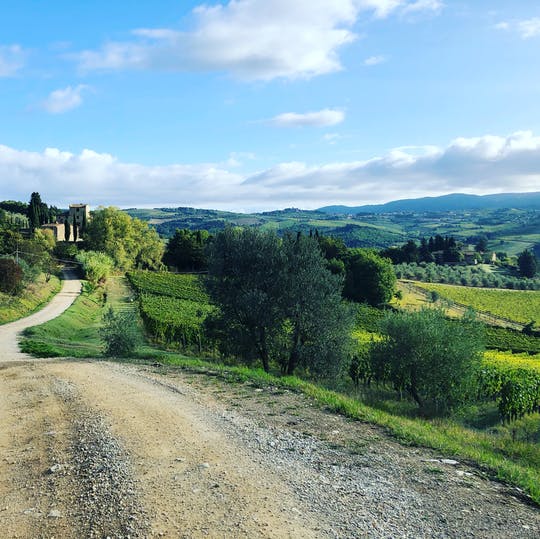 Small-group hike and wine tasting in Chianti with lunch