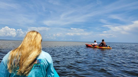 Full-day hiking and paddling tour in Everglades National Park