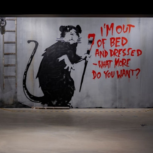 Musée Banksy París: Acceso a la exposición
