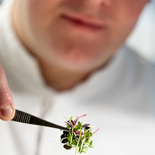 Torre Eiffel: Comida en "Madame Brasserie"