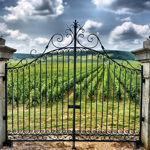 Saint-Émilion: Tour de vinos de un día desde Burdeos