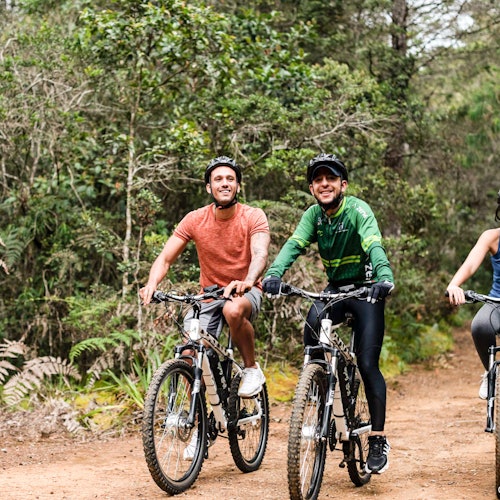 Recorrido por el Parque Arví: Visita guiada de senderismo