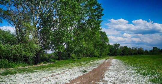 E-Bike Tour to the Appian Way,  the Aqueduct Park and the Catacombs