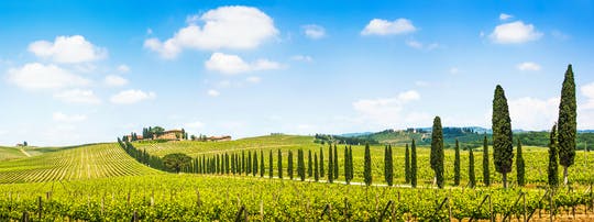 Chianti tour with two wine tastings from Florence