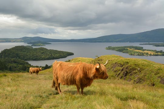 Lago Ness, Glencoe y las Tierras Altas desde Glasgow