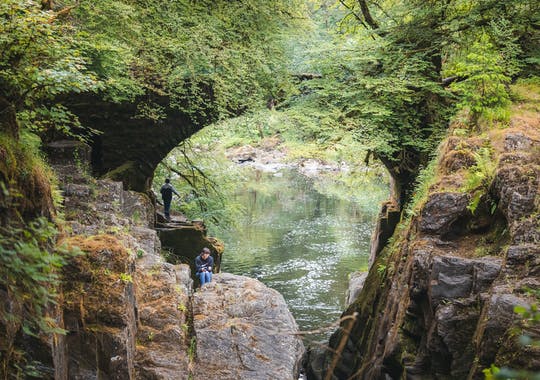 Excursión de whisky y cascadas desde Edimburgo