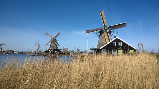 Zaanse Schans half-day tour from Amsterdam