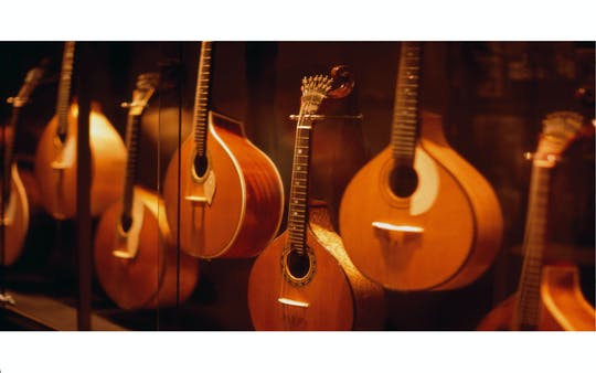 Fado show with dinner and night tour