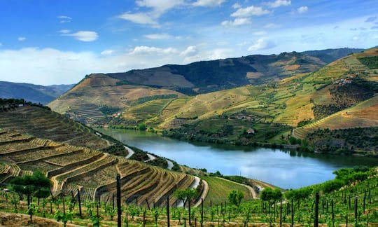 Douro Valley full-day tour with wine tasting and a boat trip
