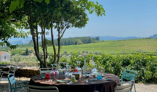 Full-day wine tour of Douro Valley