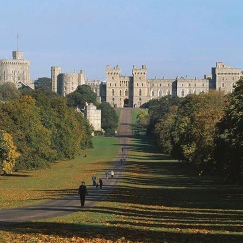 Windsor Londres: 24-Hr Hop-on Hop-off Bus Tour + Audioguía