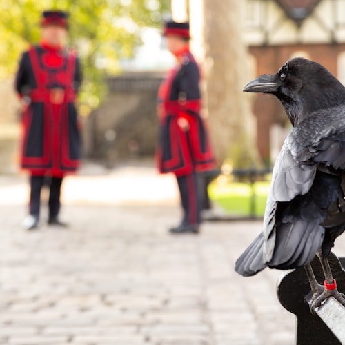 Tower of London: Guided Tour with a Beefeater & Crown Jewels