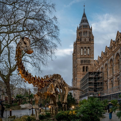 Natural History Museum London: Reserved Entry + Audio Guide