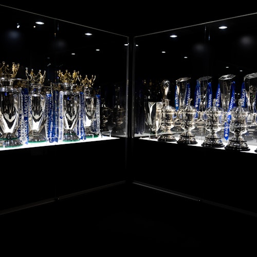 Stamford Bridge: Extended Guided Tour + Chelsea FC Museum Entry