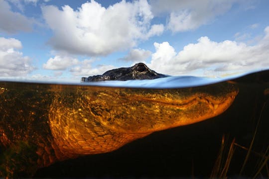 Boleto de entrada al parque recreativo Sawgrass