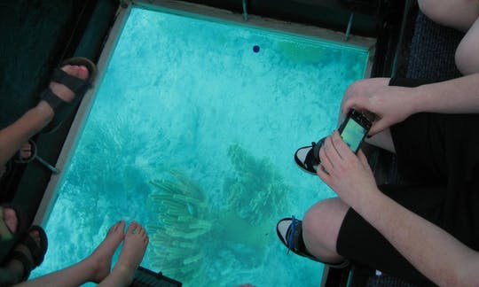 Excursión de un día a Key West con paseo en barco con fondo de cristal