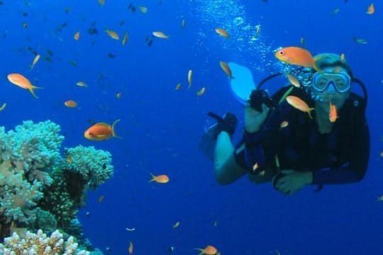 Excursión de un día a Key West y aventura de snorkel