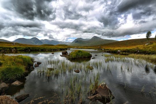 Excursión de un día al lago Ness y las Tierras Altas de Escocia desde Edimburgo