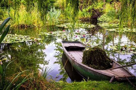 Excursión a los Jardines de Monet en Giverny y al Palacio de Versalles con audioguía y almuerzo