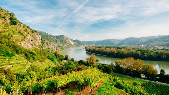 Excursión de un día al valle de Wachau con crucero por el Danubio