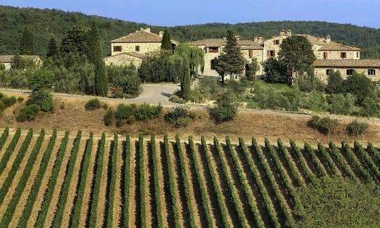 Chianti afternoon experience with two wine tastings