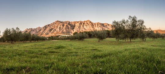 Excursión de un día en cava de pequeños grupos y cata de vinos desde Barcelona