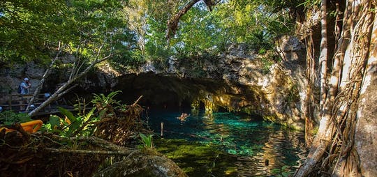 Tour en bicicleta por los senderos de los cenotes