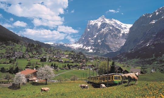 Excursión de un día a los Alpes suizos con Grindelwald e Interlaken desde Zúrich