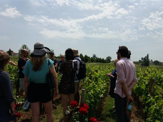 Excursión de medio día a las fincas vinícolas de Saint-Emilion desde Burdeos
