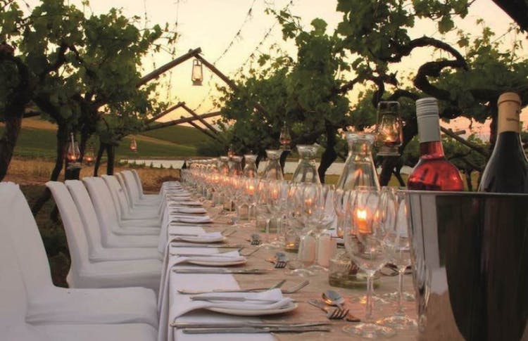 Cata de vinos y cena con barbacoa en los viñedos de Chianti desde Siena