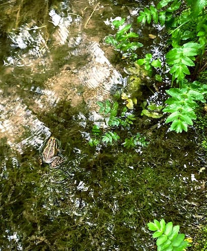 Excursión a las cataratas de Krka desde Split con cata de vinos