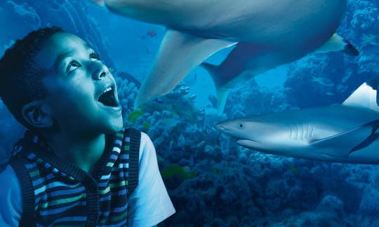 Sea Life London Aquarium tickets