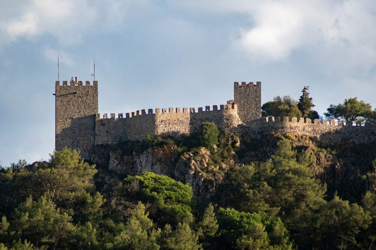 Arrabida and Bacalhoa private tour with wine tasting from Lisbon