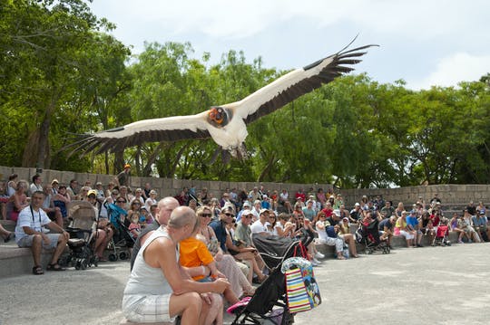 Entrada a Jungle Park
