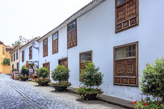 Northwest Tenerife full-day tour with Canarian lunch