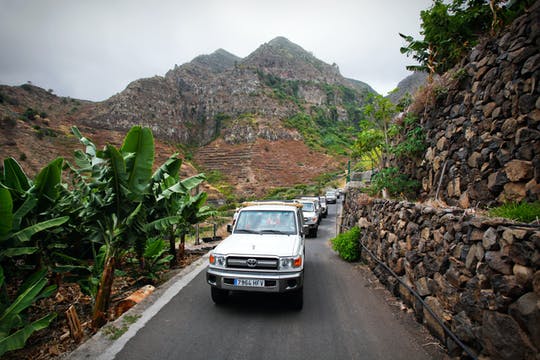 La Gomera 4x4 Safari Tour from the North