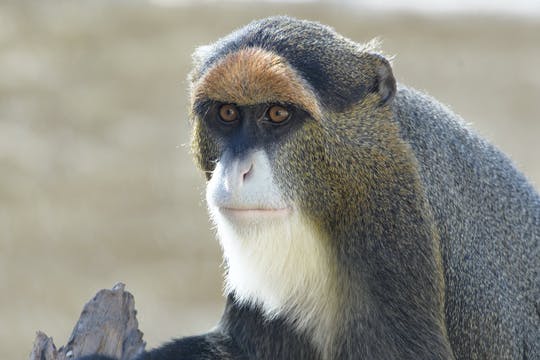 Entradas combinadas Terra Natura Zoo + Aqua Natura