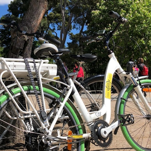Madrid: Triángulo de Oro del Arte y Parque de El Retiro Visita Guiada en E-Bike