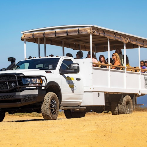 Isla Santa Catalina: Excursión Safari Guiada