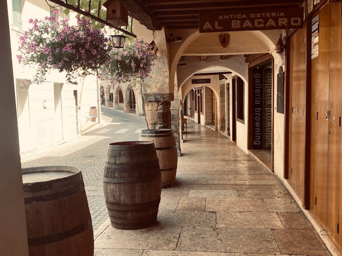 Prosecco hills guided tour with tasting from Venice