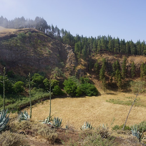 Monte Pavón: Guided Day Tour from Gran Canaria + Picnic Lunch