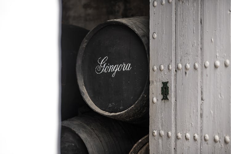 Seville Bodegas Góngora premium tour with tasting experience