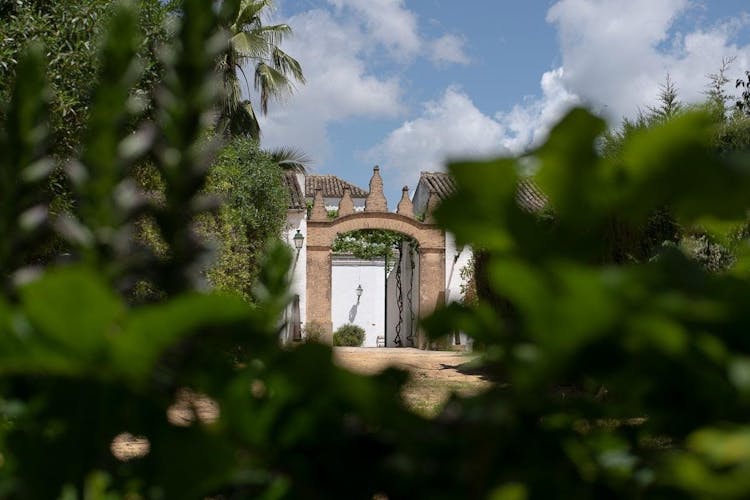 Seville Bodegas Góngora classic tour with tasting experience